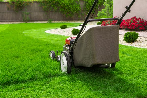 Lawn Mowing in Port Orchard