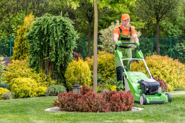 Yard Service in Port Orchard