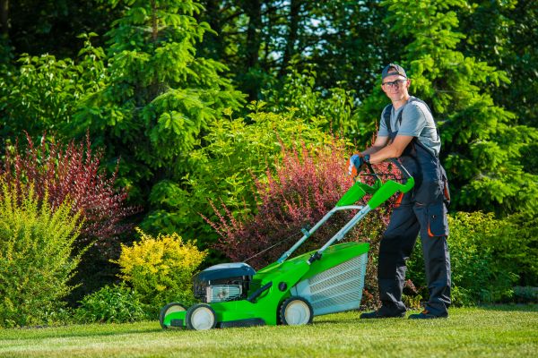 Yard Work Service in Port Orchard