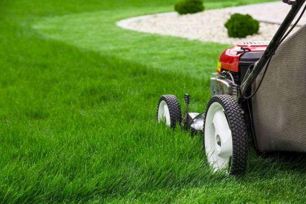 Lawn Service in Port Orchard