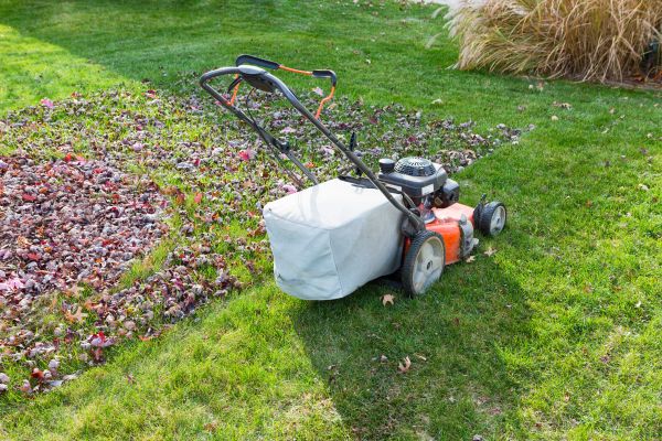 Seasonal Lawn Care in Port Orchard