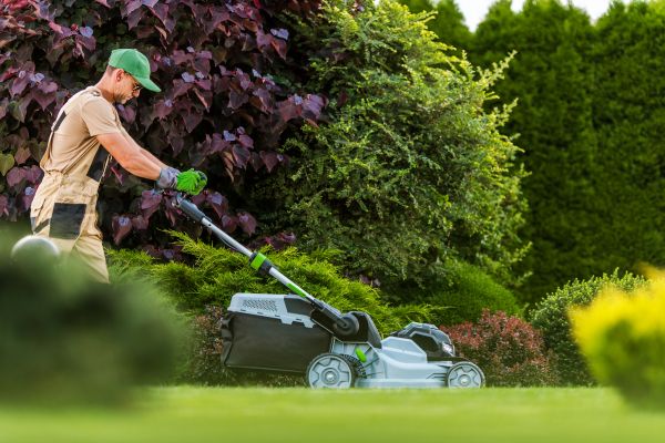 Lawn Management in Port Orchard