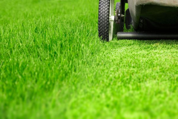 Weekly Lawn Care in Port Orchard