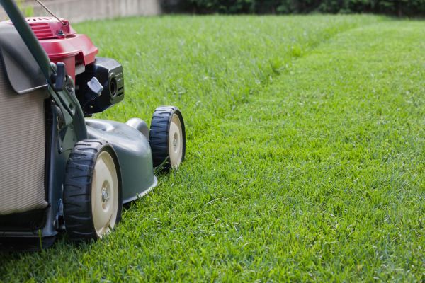 Summer Lawn Care in Port Orchard