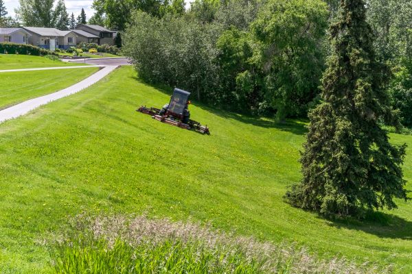 Hill Mowing in Port Orchard