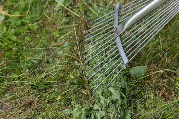 Thatch Raking in Port Orchard