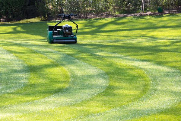 Business Lawn Mowing in Port Orchard