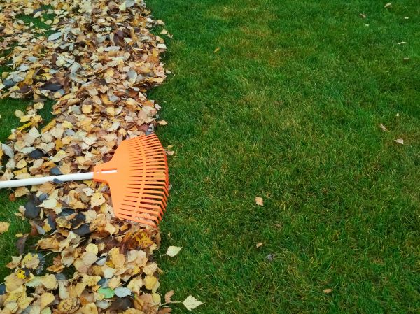Fall Lawn Care in Port Orchard