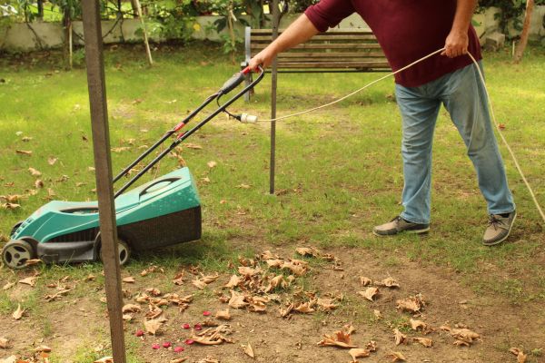 Leaves Mowing in Port Orchard