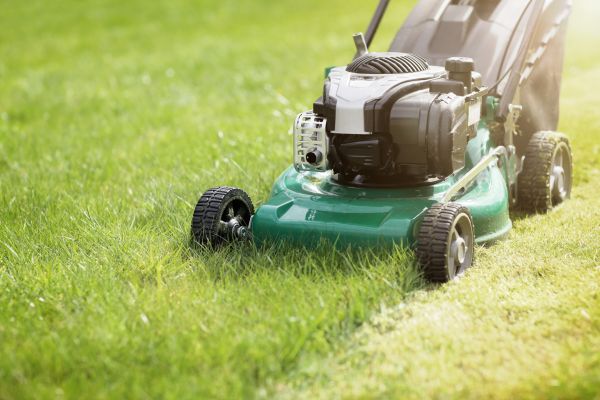 Spring Grass Trimming in Port Orchard