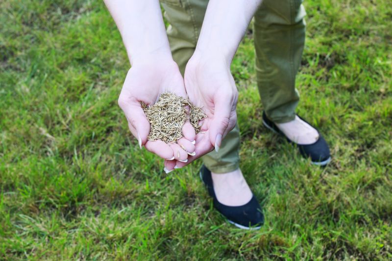 Healthy Lawn Preparation