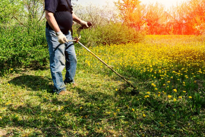 High Grass Trimming